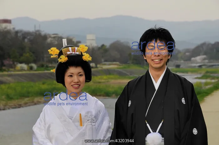 : Traditional Japanese wedding couple wearing kimonos : Traditional Japanese wedding couple wearing kimonos