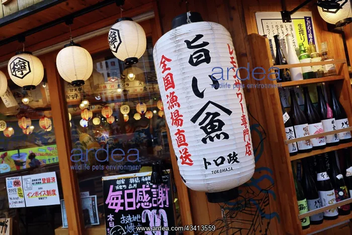 : Traditional lanterns on the Toromasa Restaurant in West Shin : Traditional lanterns on the Toromasa Restaurant in West Shin