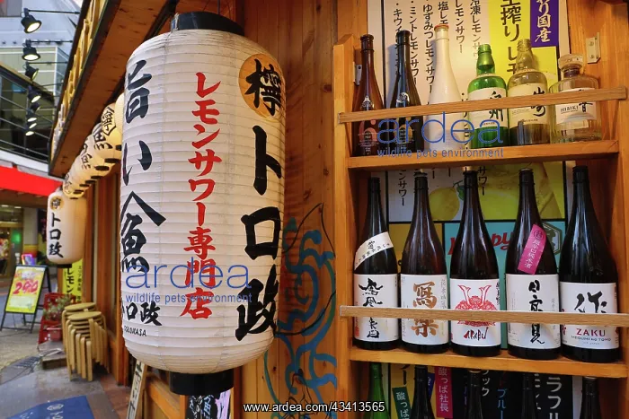 : Traditional lanterns on the Toromasa Restaurant in West Shin : Traditional lanterns on the Toromasa Restaurant in West Shin