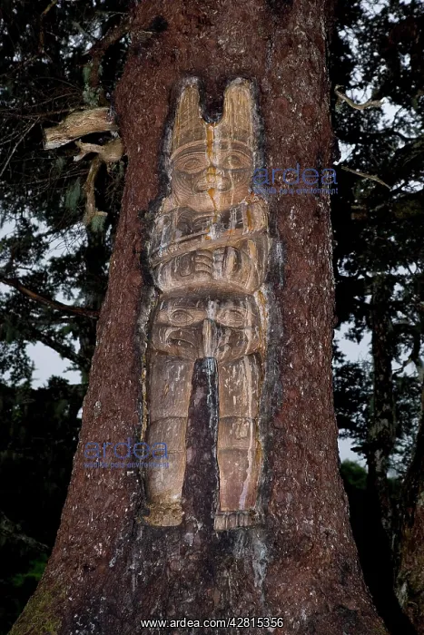 : Traditional living-tree totem carving Mount Roberts Tramway : Traditional living-tree totem carving Mount Roberts Tramway
