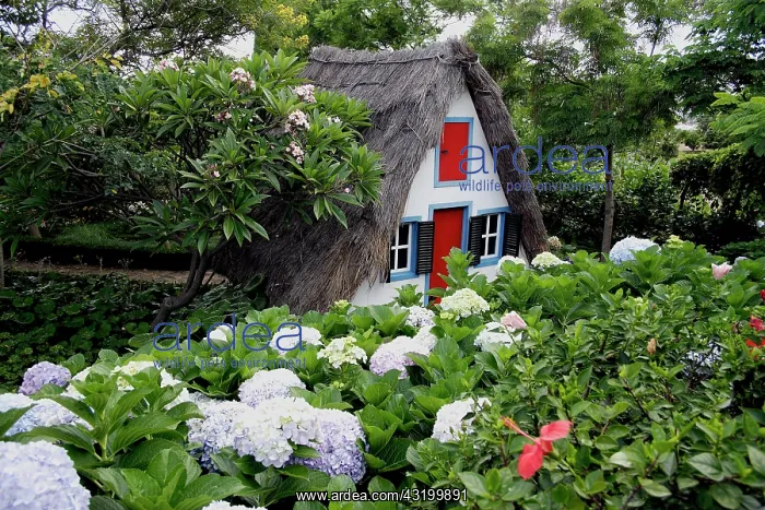 : Traditional Maderia house at the Botanical gardens : Traditional Maderia house at the Botanical gardens