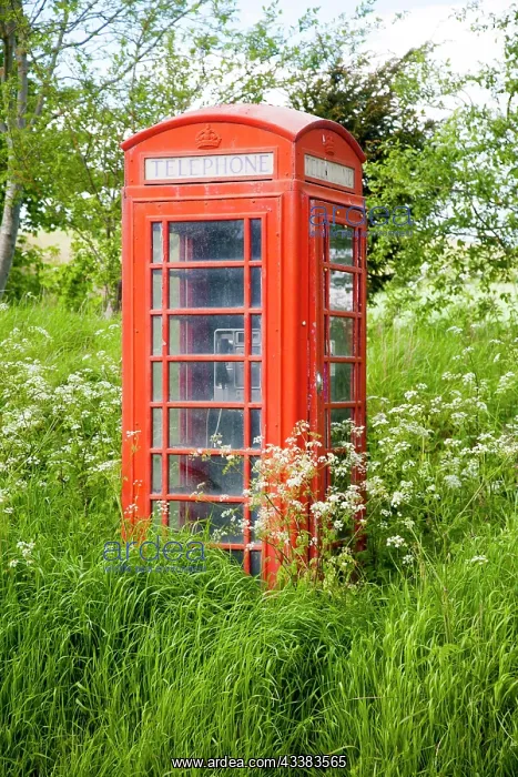  : Traditional red telephone box in rural area becoming