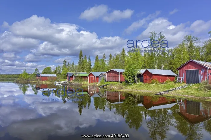 : Traditional red wooden boat houses : Traditional red wooden boat houses