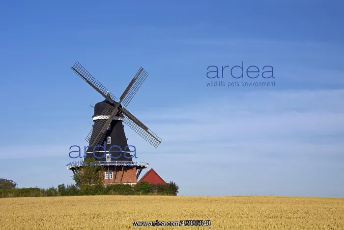 : Traditional windmill in field at Krageholm, Sk ne : Traditional windmill in field at Krageholm, Sk ne