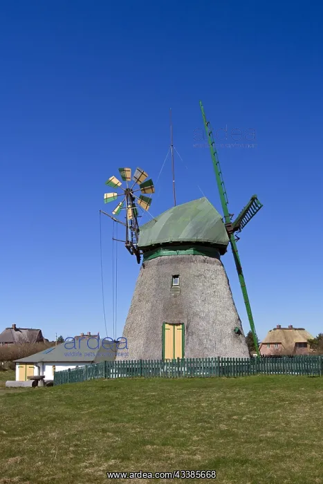 : Traditional windmill at Nebel, Amrum island, North : Traditional windmill at Nebel, Amrum island, North