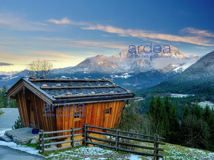 : Traditional wooden hut, behind it the massif of : Traditional wooden hut, behind it the massif of