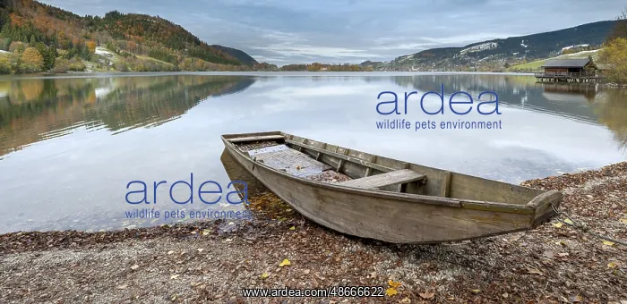 : Traditional wooden rowing boat on the shore of Lake : Traditional wooden rowing boat on the shore of Lake