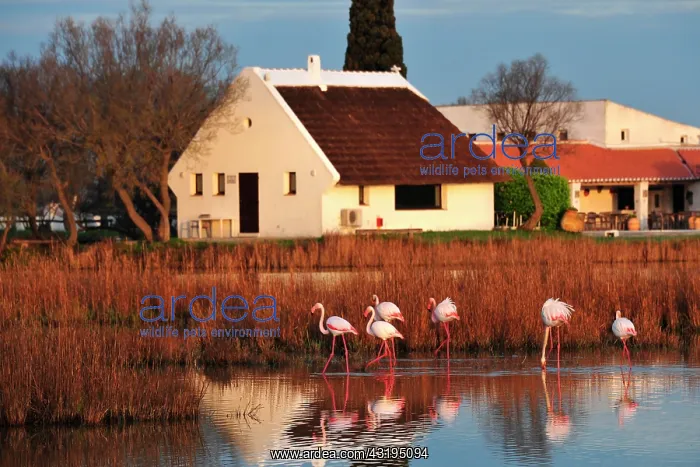  : Traditionnal house of a gardian with its tached