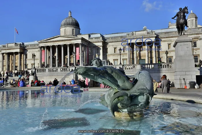 : Trafalgar Square and Fountains : Trafalgar Square and Fountains