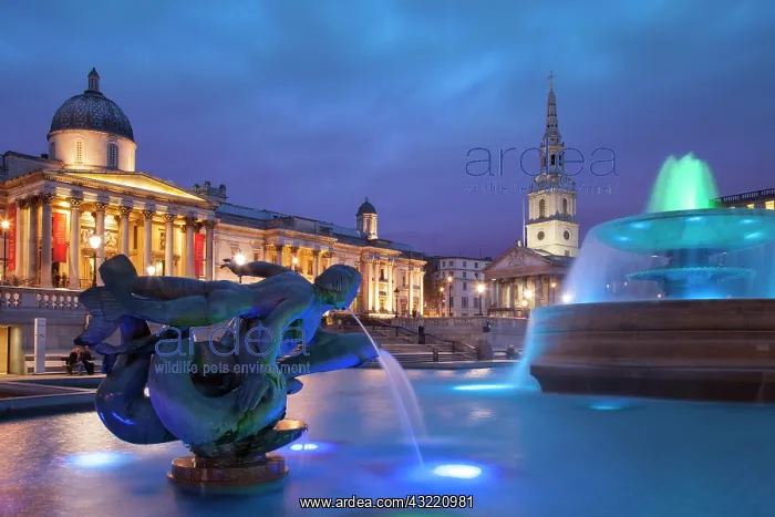 : Trafalgar Square with St. Martins in the : Trafalgar Square with St. Martins in the