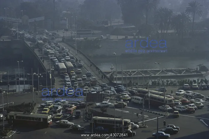 : Traffic Jam : Traffic Jam