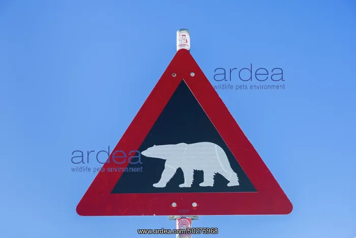 : Traffic sign : Traffic sign
