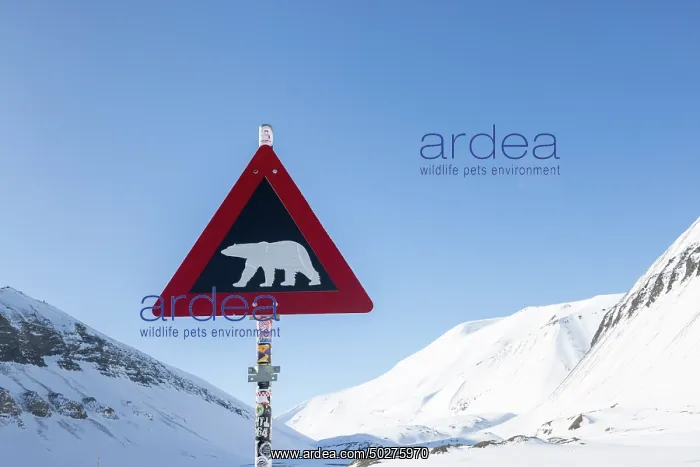 : Traffic sign : Traffic sign
