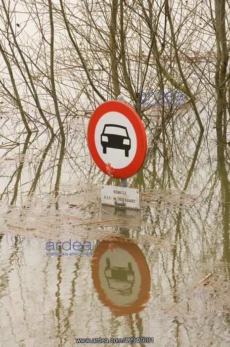 : Traffic sign - No cars allowed : Traffic sign - No cars allowed