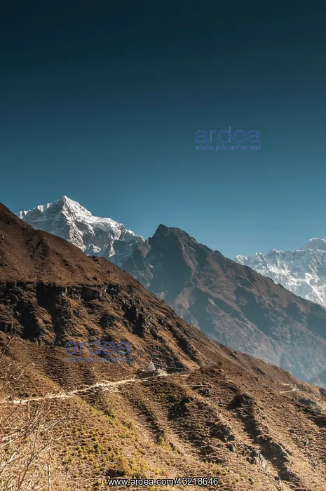 : Trail through Khumbu Valley : Trail through Khumbu Valley