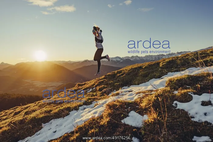 : Trail running in autumn on the Jochberg on Lake Walchensee against the wonderful backdrop of the Alps : Trail running in autumn on the Jochberg on Lake Walchensee against the wonderful backdrop of the Alps