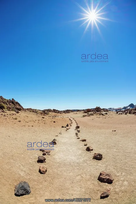 : Trail through volcanic landscape, Parque Nacional : Trail through volcanic landscape, Parque Nacional