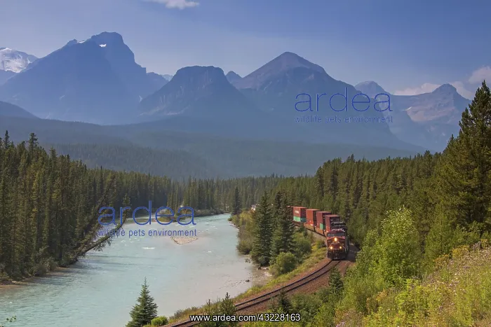  : Train of Canadian Pacific Railways