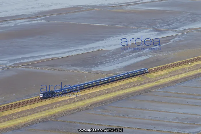 : Train on the Hindenburg Dam - a causeway joining : Train on the Hindenburg Dam - a causeway joining