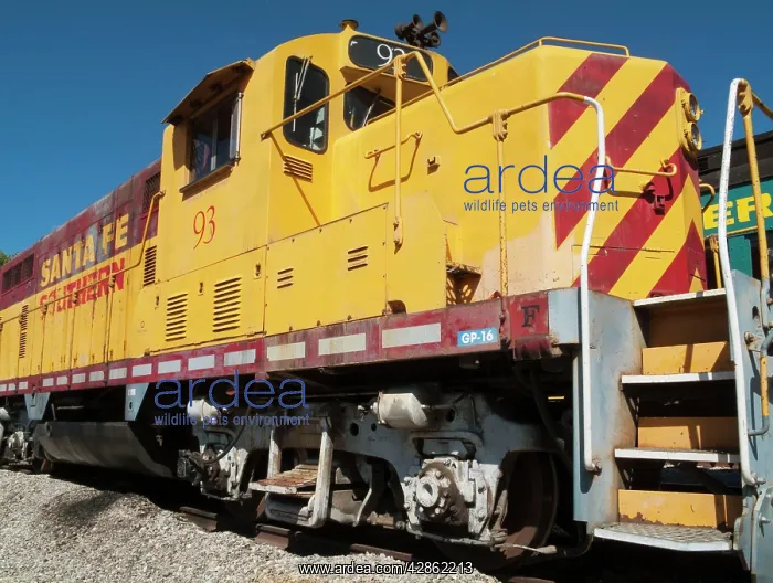 : Train - the historic diesel engines and trains : Train - the historic diesel engines and trains