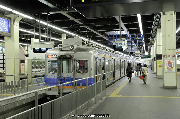 : Train from the Nankai Line at the station on a platform : Train from the Nankai Line at the station on a platform