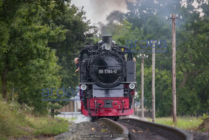 : A train of the Ruegensche Baederbahn - nicknamed : A train of the Ruegensche Baederbahn - nicknamed