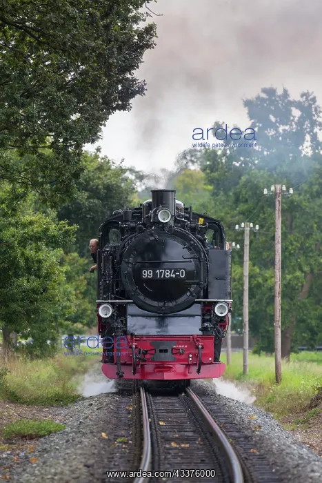 : A train of the Ruegensche Baederbahn - nicknamed : A train of the Ruegensche Baederbahn - nicknamed