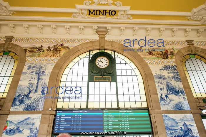 : Train schedule Saint Benedict Train Station (Estacao de Sao : Train schedule Saint Benedict Train Station (Estacao de Sao