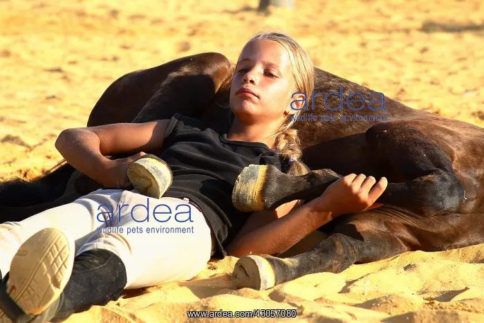 : Training exercise of a Horse by a young rider : Training exercise of a Horse by a young rider