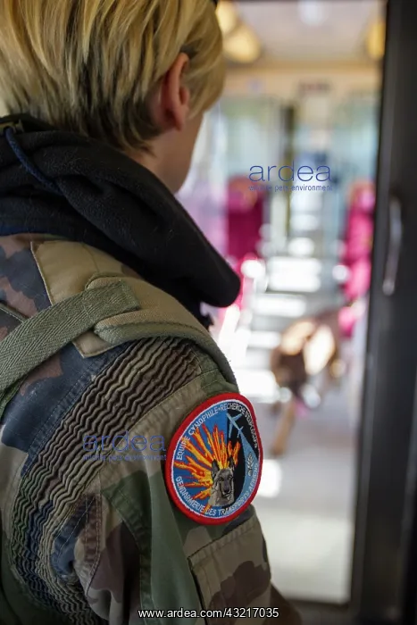: Training in research of explosive in a train SNCF - France : Training in research of explosive in a train SNCF - France