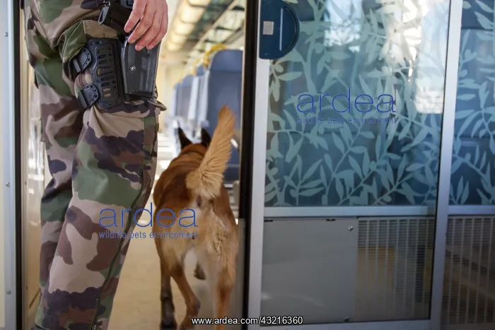 : Training in search of drugs in a train SNCF - France : Training in search of drugs in a train SNCF - France