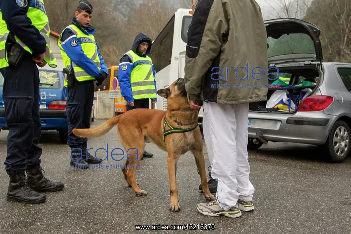 : Training in search of drugs in a train SNCF - France : Training in search of drugs in a train SNCF - France