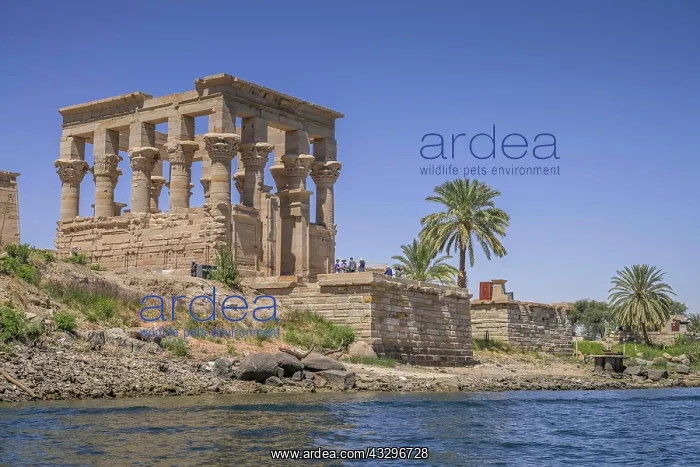 : Trajan's kiosk of Augustus, Philae temple complex : Trajan's kiosk of Augustus, Philae temple complex
