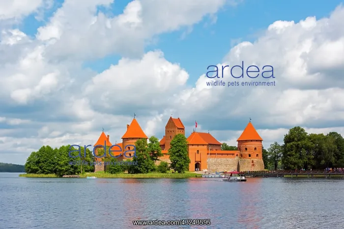 : Trakai Island Castle on Lake Galve, Lithuania : Trakai Island Castle on Lake Galve, Lithuania
