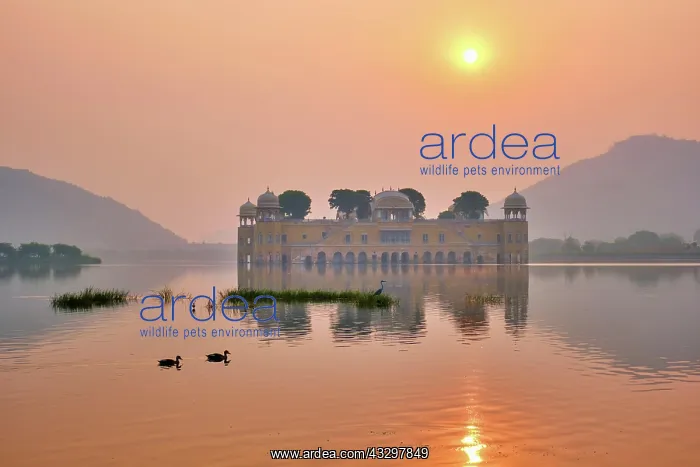 : Tranquil morning at famous indian tourist landmark : Tranquil morning at famous indian tourist landmark