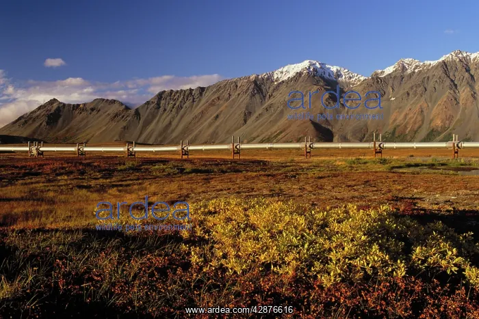 : The Trans-Alaskan Oil Pipeline passing through : The Trans-Alaskan Oil Pipeline passing through
