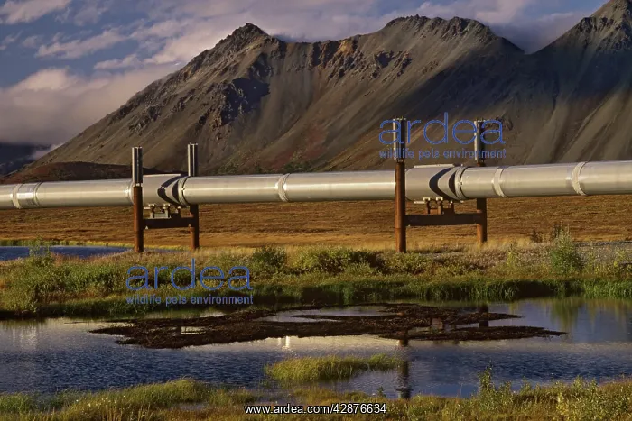 : The Trans-Alaskan Oil Pipeline passing through : The Trans-Alaskan Oil Pipeline passing through
