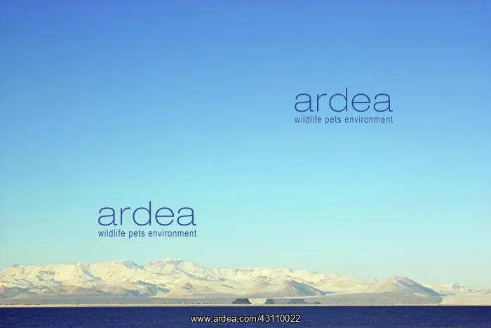 : Trans Antarctic Mountains w / Mirages : Trans Antarctic Mountains w / Mirages