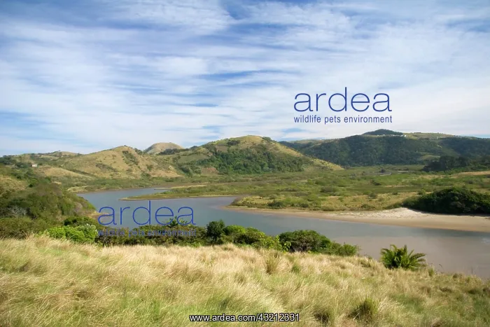 : Transkye, South Africa. Scenic lake in the : Transkye, South Africa. Scenic lake in the