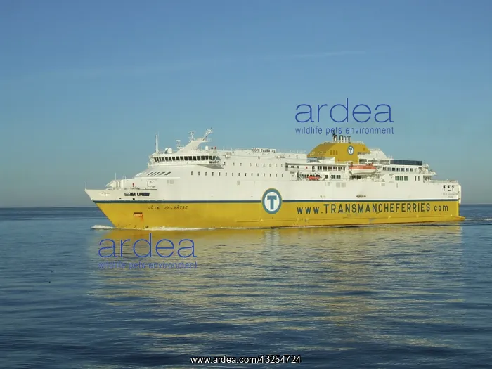 : Transmanche Ferry, Le Havre, France : Transmanche Ferry, Le Havre, France