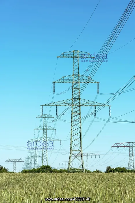 : Transmission towers with power lines in Germany : Transmission towers with power lines in Germany