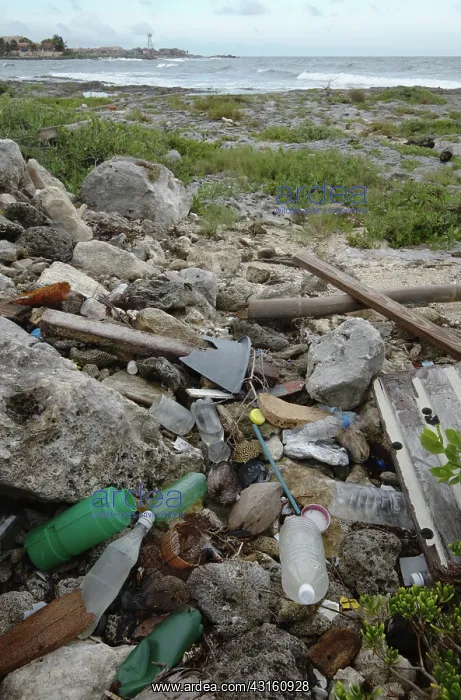 : Trash on the shore : Trash on the shore