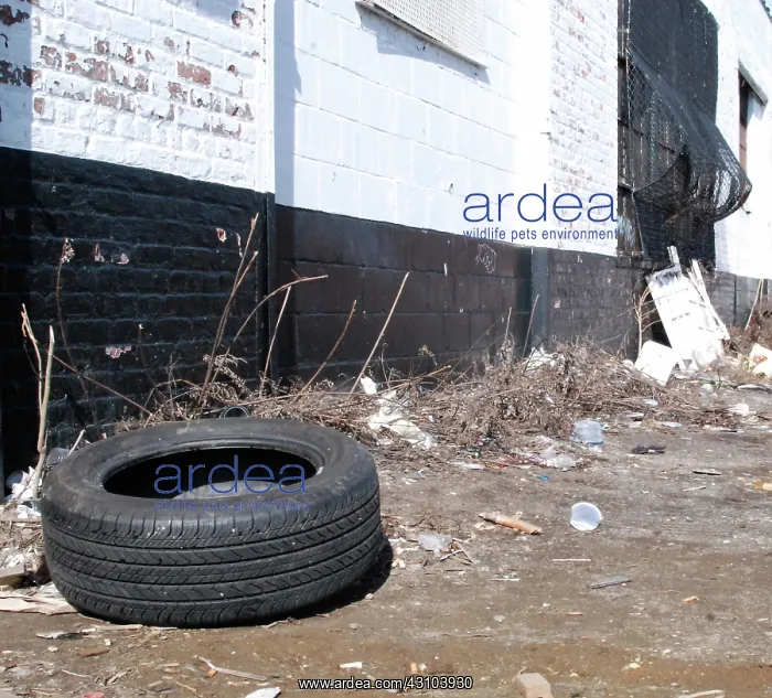 : Trash on Sidewalk : Trash on Sidewalk