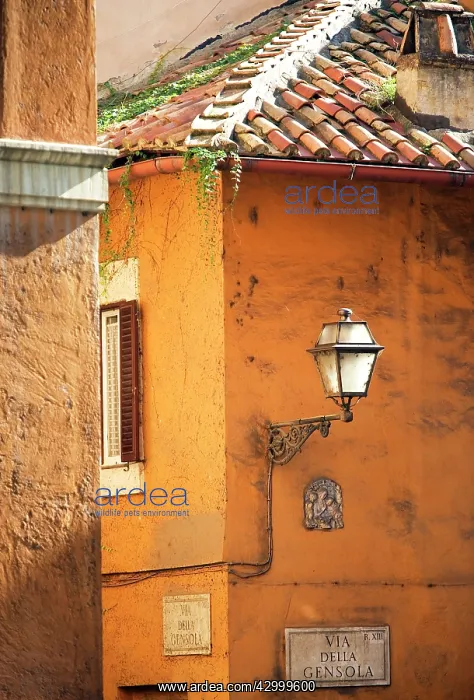  : Trastevere