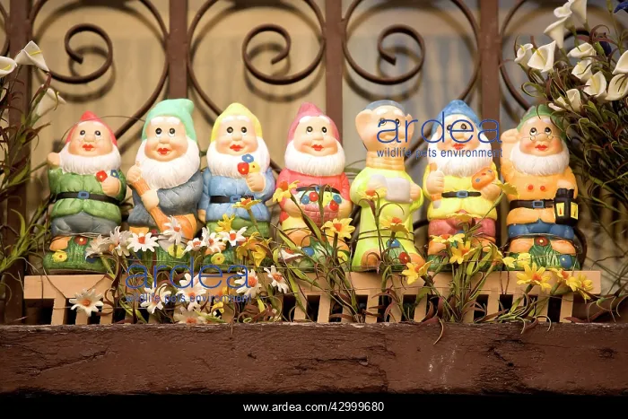 : Trastevere seven dwarfs : Trastevere seven dwarfs