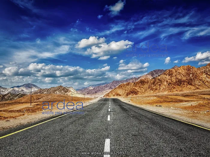 : Travel forward journey concept, road in mountains : Travel forward journey concept, road in mountains