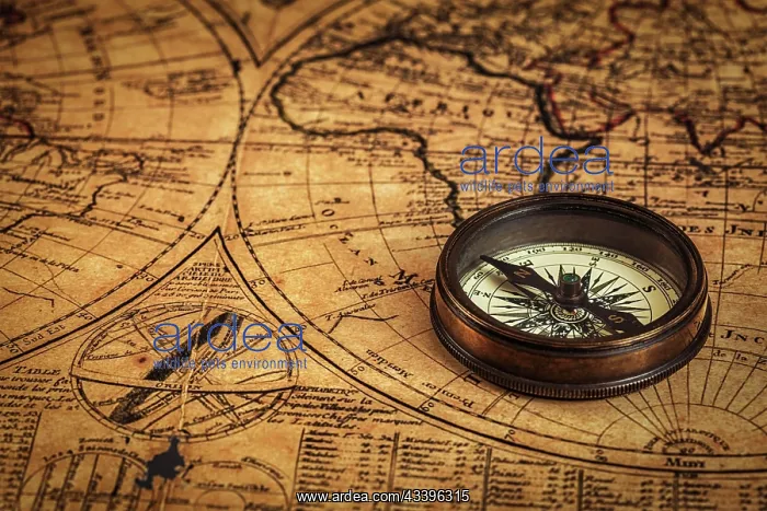 : Travel geography navigation concept background, o : Travel geography navigation concept background, o