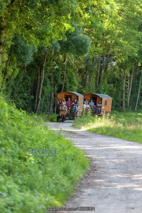 : Travel Trailer drawn by draft horses - France : Travel Trailer drawn by draft horses - France