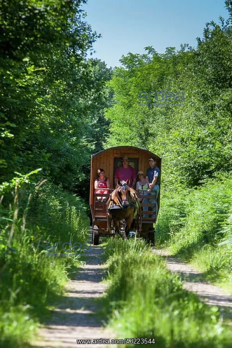 : Travel Trailer drawn by draft horses - France : Travel Trailer drawn by draft horses - France