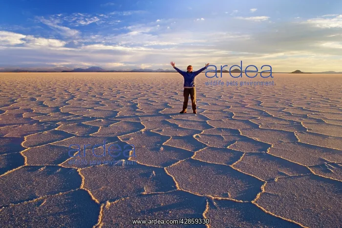 : Traveller on Salar de Uyuni - a happy woman with : Traveller on Salar de Uyuni - a happy woman with